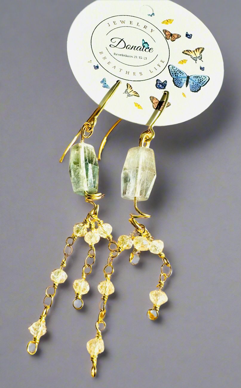 Earrings